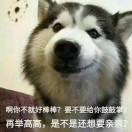 Jay在掘金69303的个人资料头像