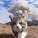 夙雨残风的个人资料头像