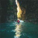 哎呀呀本尊69339的个人资料头像