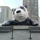 hylp的个人资料头像