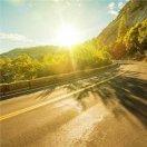 逆行舟的个人资料头像