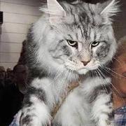 gyj5566的个人资料头像