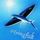 flyingfishzxf同学的个人资料头像
