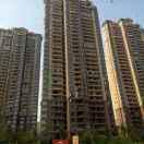 如履薄冰的个人资料头像