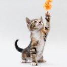 简简单单重名了的个人资料头像