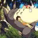 柳钉鱼的个人资料头像