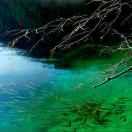 水竹天的个人资料头像