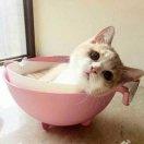 范ErWzsv的个人资料头像