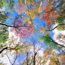 歌同志的个人资料头像