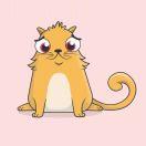 Wanglc的个人资料头像