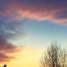 大瑾的个人资料头像