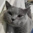 Heypanda的个人资料头像