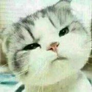 Aris婷婷的个人资料头像