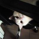 林勇士的个人资料头像