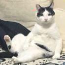 胖虎就是我69660的个人资料头像