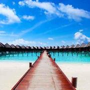 webinf的个人资料头像