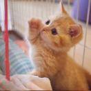 undefined本尊69710的个人资料头像