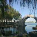 小人物的故事的个人资料头像