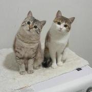 cyanwin的个人资料头像