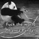 王海瑞酱的个人资料头像