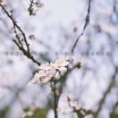 A不想说话69790的个人资料头像