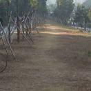 虾米虾米的个人资料头像