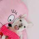 李蕊的个人资料头像