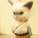 XGZ12的个人资料头像