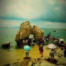 lion爱学习69829的个人资料头像