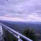 阿涛同志的个人资料头像