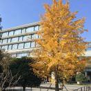 Shen就是我69896的个人资料头像