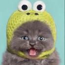 Jason重名了69900的个人资料头像