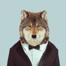 TI的个人资料头像