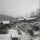 无心愁的个人资料头像