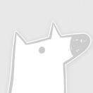 酱69926的个人资料头像