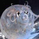 snow007的个人资料头像