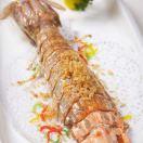 虾狗弹的个人资料头像