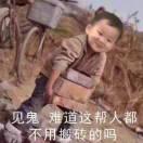 佳节胖三斤的个人资料头像