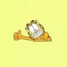 sun的个人资料头像