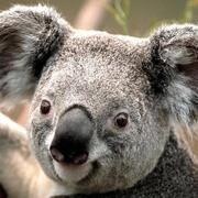 MurphyDai的个人资料头像