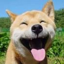 程程本尊的个人资料头像