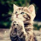 重名了70090的个人资料头像