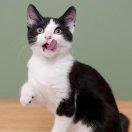 D小姐的个人资料头像