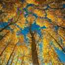 Matt酱70266的个人资料头像