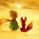 后尘的个人资料头像