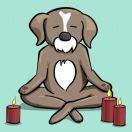 肖卫的个人资料头像