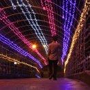 桂平君的个人资料头像