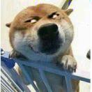 365fresh的个人资料头像