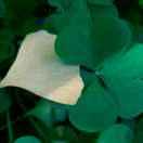 十二在掘金70576的个人资料头像