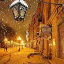 夜行者paj的个人资料头像